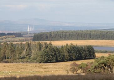 The Pentland Hills - Pentland Hills Gin