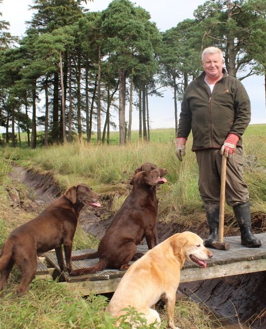 Panza, Phil and The Labarador Family - Pentland Hills Gin