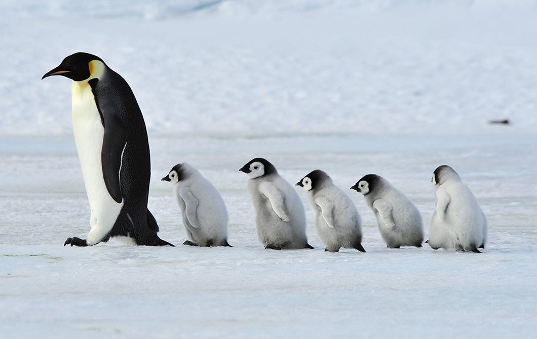 Meet Madeleine, the sand scientist headed to Antarctica…