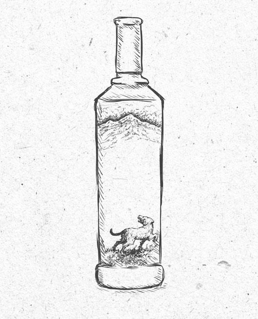Bottle concept