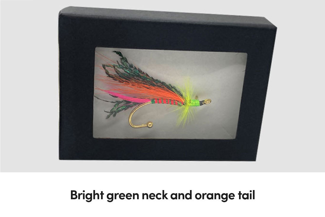 Bright green neck and orange tail