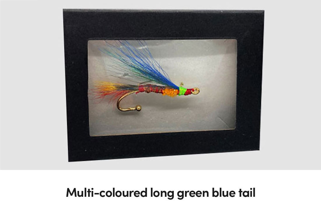 Multi-coloured long green blue tail