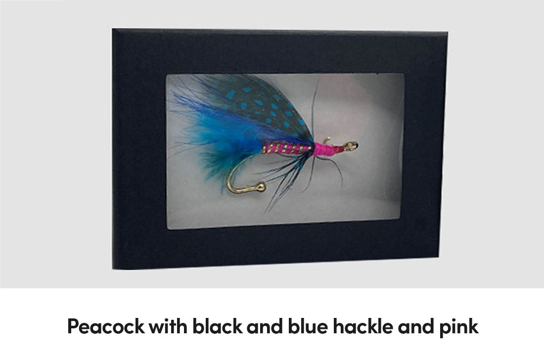 Peacock with black and blue hackle and pink