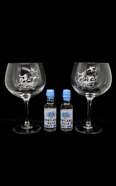 Our Gin Glass Set