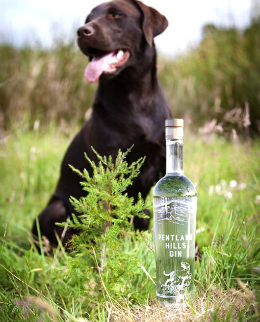 Panzer With The Gin In The Grass - Pentland Hills Gin
