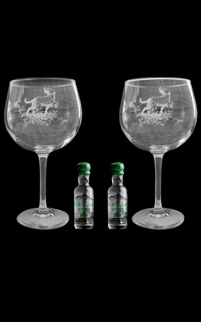 Our Gin Glass Set