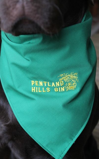 Panza Pentland Hills Bandana