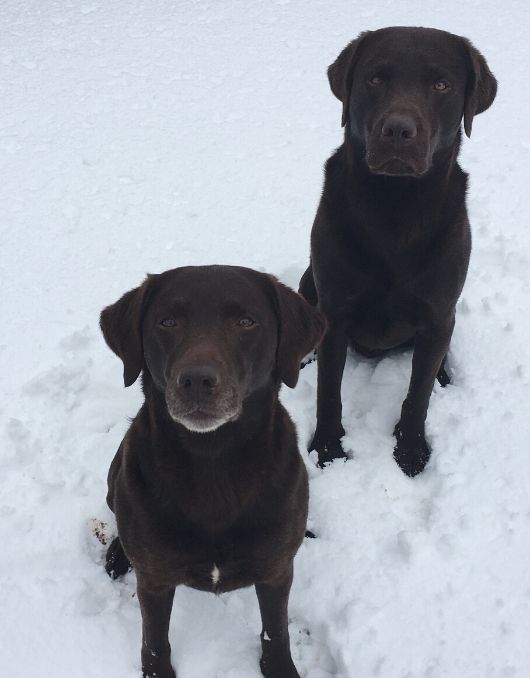 Panza and his mum, Rosie